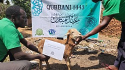 Qurban 2022 in uganda